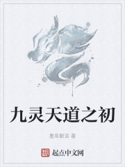 放在