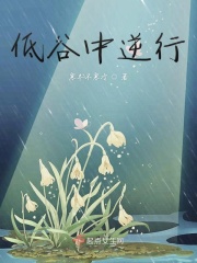 一品