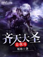 钢壳都市雷吉欧斯