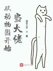 牛文小说网