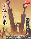 黑珍珠米斯特
