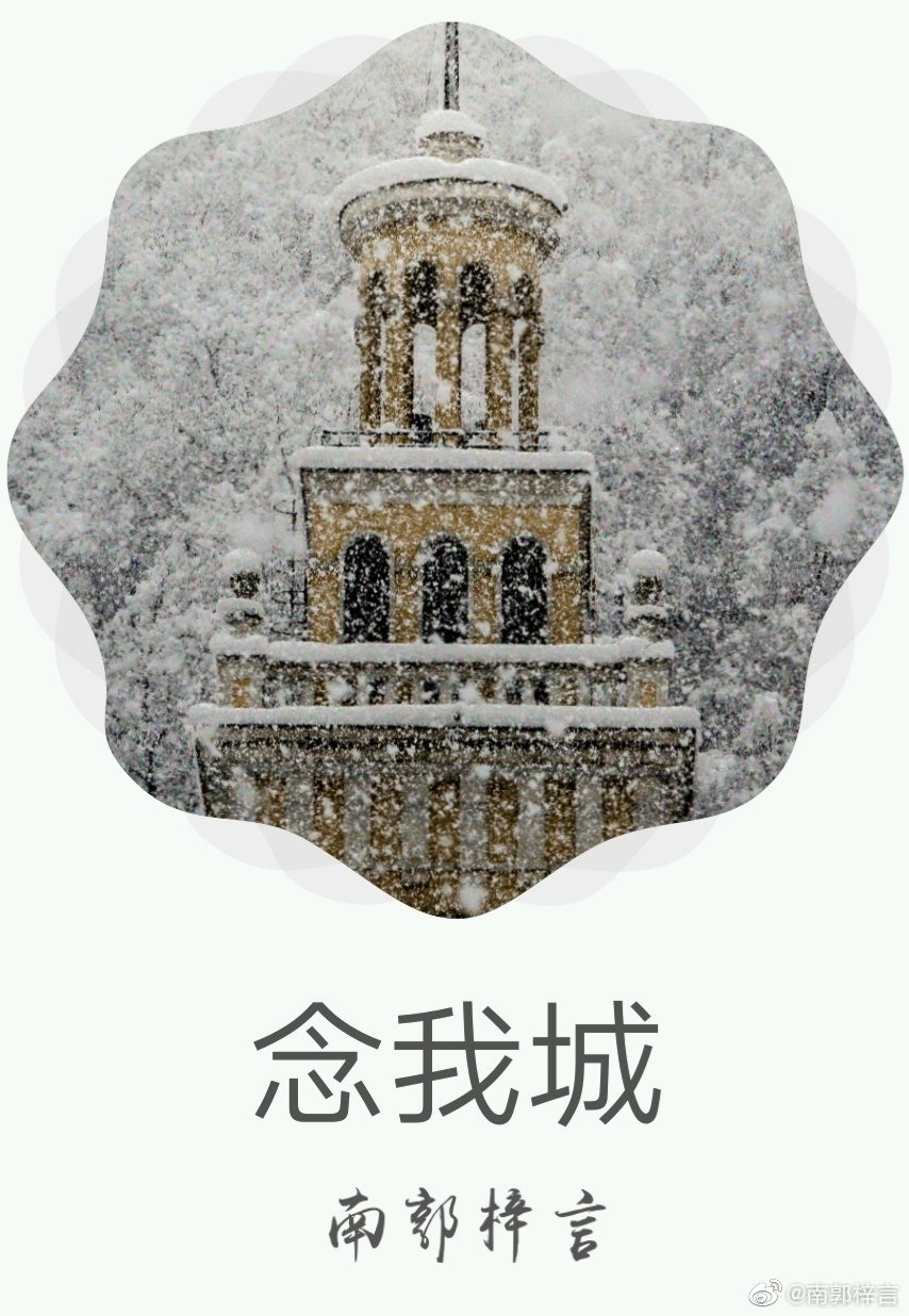 桥本有菜哭了
