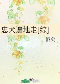 《寻龙剑侠赖布衣》电视剧