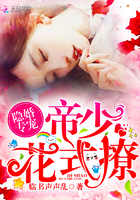 慕司寒南栀目录完整版
