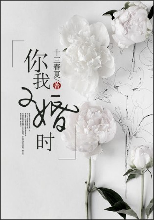 火影忍者禁图网站