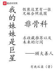 我站在桥上看风景小说