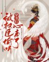 男人亲下面