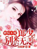 新四大名捕演员表全部