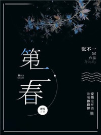中拍网