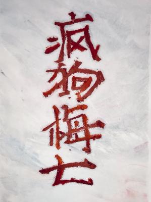 大岛优香在线