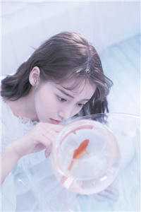 韩版流星花园