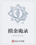 yin乱海贼王