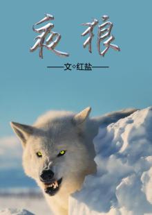 移星换影女明星图片