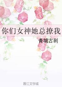 花间提壶方大厨电视剧