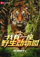 椎名空在线
