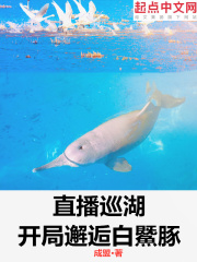 腿照只要腿