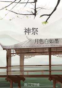 豪飞赛鸽公棚
