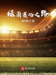 武间道电视剧免费完整版
