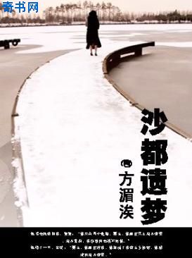 年轻镇长柳擎宇全集