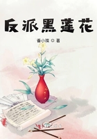 男攻总攻cao烂总裁御宅屋