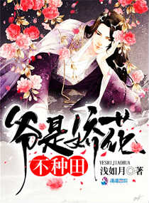 风间由美全部作品bd在线