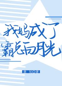 瓷都网站