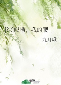 茄子视频破解永久ios