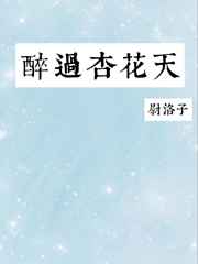 videoscope内窥镜