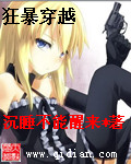 日韩激情小说