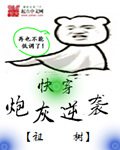 日本在线观看高清不卡免v