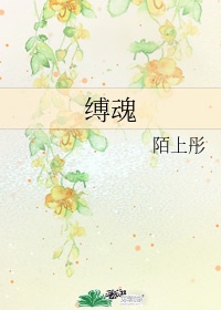 斋书苑