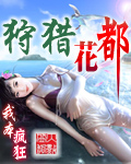 午夜第一页8050网