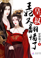 凌霄之上小说