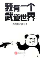 梦筱二的小说陆聿城