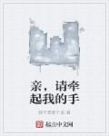 国产精品视频a