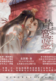 夜麟主角小说