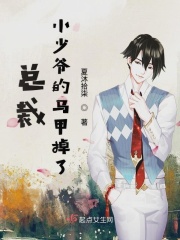 藏海花txt