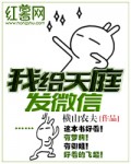 姜倾心霍栩小说
