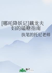 dnf亚米