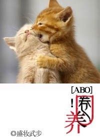 尼托克丽丝本子