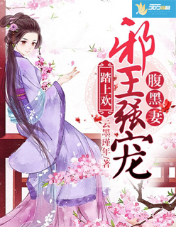 大刺客电视剧