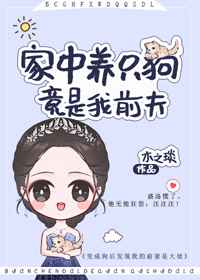 凤凰军事