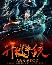 孤胆保镖