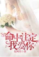孟丽君传奇