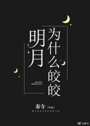 杂乱合集
