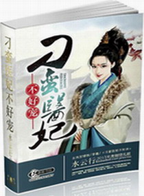 seo短视频网页入口引流