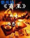 方辰叶琳上官步小说