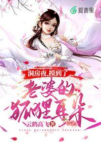 上下左右小说全文阅读
