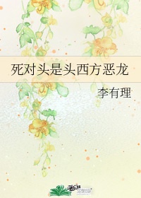 fgo足控本子