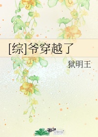 文枫柔佳初欢